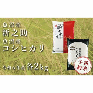 【ふるさと納税】＜令和6年産新米予約＞中魚沼産「新之助」2kg ＋ 魚沼産コシヒカリ「金印」2kg 食べ比べセット | お米 こめ 白米 食品 人気 おすすめ 送料無料の画像