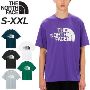 ノースフェイス 半袖 Tシャツ メンズ THE NORTH FACE カラードームティー 速乾 薄手 男性用 大きいサイズ ロゴT プリントT アウトドアウェア ウエア /NT32450の画像