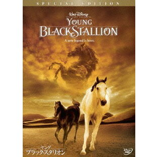 ヤング・ブラック・スタリオン[DVD] / 洋画の画像
