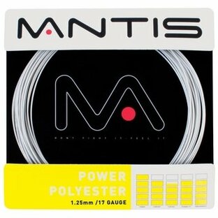MANTIS(マンティス) POWER POLYESTER(パワーポリエステル)、16G、1.30mm、ポリエステルモノコア+MANTISオリジナルケミカルコーティング、シルバー **-MNT-PP16Gの画像