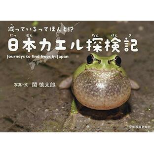 減っているってほんと!? 日本カエル探検記 (少年写真絵本)の画像