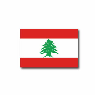 レバノン  国旗 フェイス ペイント シール  ＜医療テープと同じ粘着剤使用タイプ＞   （ 世界の 国旗 ・ 代表 ・ FIBA ワールドカップ バスケ バスケットボール W杯 観戦 応援 ・ ボディ ペインティング タトゥーシール ）の画像