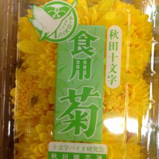 食用菊の画像
