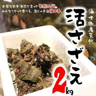 ふるさと納税 海士町 【ふるさと納税】限定150セット 島獲れ 活さざえ 2kg 新鮮 BBQの画像