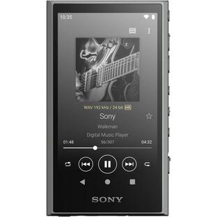 Sony ウォークマンA NW-A300シリーズ NW-A306の画像