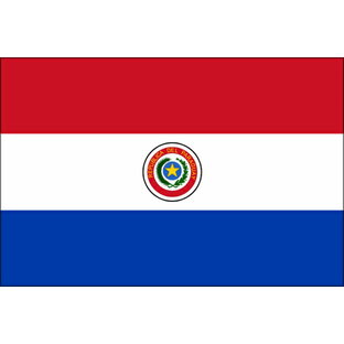 【外国旗】パラグアイ国旗（テトロントロピカル） サイズ：70×105cm【領収書発行】の画像