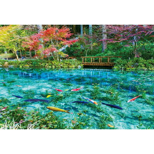 ジグソーパズル 1000ピース 色彩輝くモネの池 (49×72cm）(51-293) ビバリー 梱60cm t101の画像