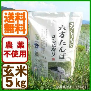 玄米 農薬不使用 コシヒカリ5kg 令和5年産 こうのとり米 送料無料 兵庫県産の画像