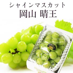 2024 ギフト 岡山県産 シャインマスカット 晴王 青秀品 1房400g 贈答用 御中元 御歳暮 敬老の日 葡萄 ぶどう ブドウ プレゼント 御礼 御祝 果物 フルーツの画像