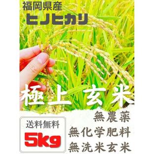 福岡県産 ヒノヒカリ 無農薬玄米 5kg 令和5年の画像