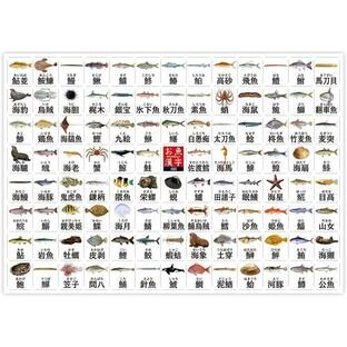 迫力の特大ポスター お風呂に貼れる お魚漢字ポスター 103 種類 ( H594×W841mm ) A1サイズ 魚 さかな 漢字 かんじ 学習の画像