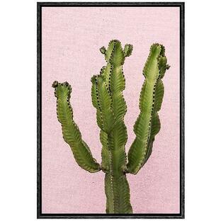 wall26 フレーム入りキャンバスプリント ウォールアート 鮮やかなグリーン トロピカル 砂漠 サボテン 多肉植物 自然 植物 マルチカラー リビングルーム ベッドルの画像