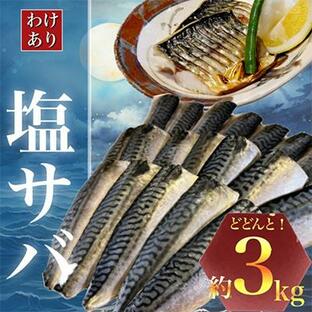 ふるさと納税 勝浦市 【訳あり】勝浦市の人気の海鮮お礼品 無添加 塩サバ 3kgの画像