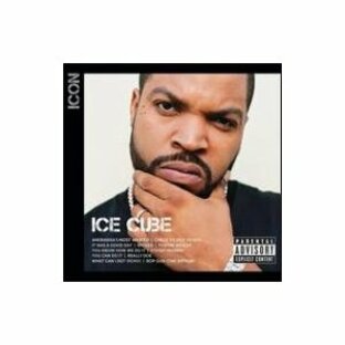 Ice Cube Iconの画像