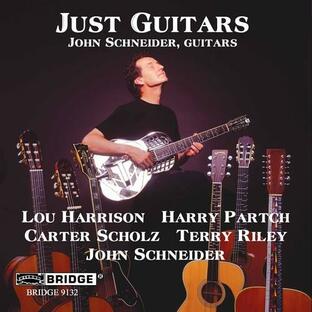 John Schneider - Just Guitars CD アルバム 輸入盤の画像