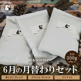 コーヒー豆 福袋 送料無料 珈琲豆 6月 月替わりセット 300g 約30杯分 焙煎後すぐ発送 コーヒー 豆の画像