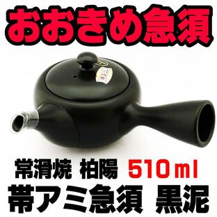 大きめ急須 常滑焼 柏陽 黒泥 帯アミ 510ml 急須 茶器 国産の画像