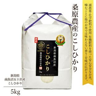 新米 令和6年産 米 5kg こしひかり ギフト 南魚沼産 桑原農産の画像