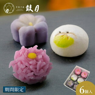 鼓月 季節の上生菓子（9月） 6個入 / お彼岸 敬老の日 京都 和菓子 職人 手作り 上生 京菓子 生菓子 人気 有名 老舗 お取り寄せ 内祝 菓子 ギフト スイーツ 人気 贈り物 ご自宅用 ご家庭用 表千家 裏千家 茶道 お茶 茶の湯 稽古 茶の湯 主菓子の画像