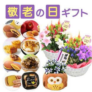 敬老の日 プレゼント ギフト 花 お菓子 定番 リンドウ 鉢植え 和菓子 洋菓子 スイーツ おかし 食べ物 敬老の日プレゼント 敬老の日ギフト 60代 70代 80代 祖母の画像