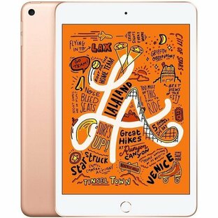 Apple iPad mini Wi-Fi 256GB ゴールド 第5世代 2019年春モデルの画像