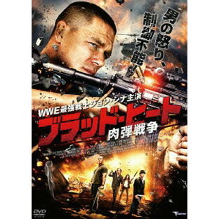 ブラッド・ヒート 肉弾戦争 レンタル落ち DVDの画像