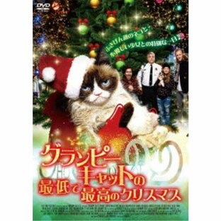 グランピーキャットの最低で最高のクリスマス レンタル落ち DVDの画像