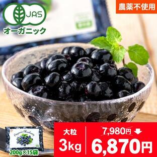 オーガニック冷凍ブルーベリー 3kg (200g×15袋) 無農薬 業務用 有機JAS 大容量 お徳用 メガ盛り 大粒 デュークの画像