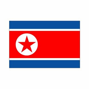 北朝鮮国旗70×105cmの画像
