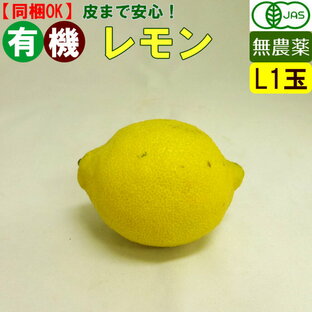 有機 レモン 1玉 無農薬 有機野菜 れもん オーガニック 国産の画像