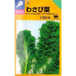 【からしな】わさび菜 【中原採種場】（6ml）野菜種[春まき][秋まき]の画像