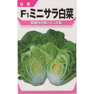 宝種苗 ミニサラ白菜のタネ[内容量：1.5ml]の画像