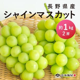 ぶどう シャインマスカット 約1kg /送料無料 常温便 長野 産地直送 果物 フルーツ 葡萄 信州 数量限定 種無しの画像