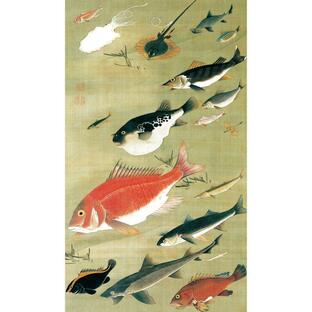 伊藤若冲 動植綵絵 群魚図（鯛） 高級仕様 額 美術品 作品 複製画 - アートの友社の画像