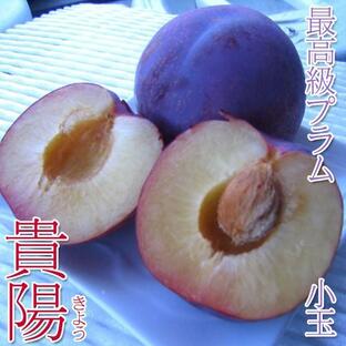貴陽 最高級プラム ギフト 2kg小玉サイズ 長野県産の画像