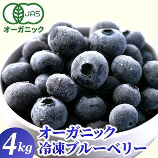 オーガニック 冷凍ブルーベリー4kg(200g×20袋) 無農薬 有機JAS 大容量 お徳用 メガ盛り 大粒 デューク フルーツ 果物の画像