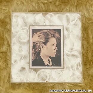 hide Memorial Feather Frame -Last Session-の画像