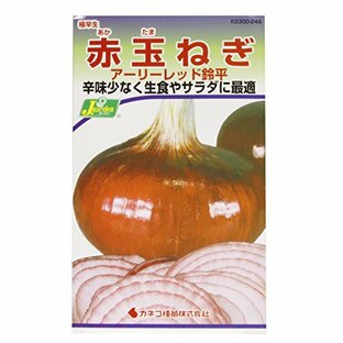 カネコ種苗 野菜タネハイクオリティ 赤玉ねぎ アーリーレッド鈴平 10袋セット 248の画像