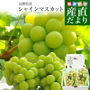 長野県産 シャインマスカット 約1キロ（2房）送料無料 ぶどう ブドウ 種なしぶどう クール便発送の画像