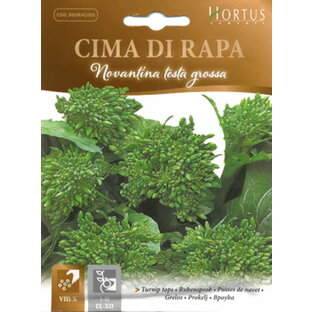 【イタリアの野菜の種】  ターニップトップ《早生種(90日収穫）》（チーマ ディ ラーパ） Novantina testa grossa BSORAC005 Hortus社の画像
