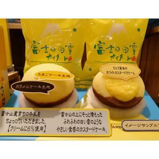 富士の白雪 カスタード（10個入） 個包装 カスタードケーキ 静岡 お土産 菓子の画像
