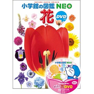 DVD付 花 (小学館の図鑑 NEO)の画像