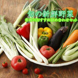 野菜セット 10品目以上 直送野菜 新鮮 採れたて 茨城県・千葉県産 農家さん 夏季クール便対応の画像