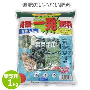 肥料 葉菜類用 1kg 有機一発肥料 追肥不要 有機配合 家庭菜園 野菜 キャベツ 白菜 ガーデニング 住化農業資材の画像