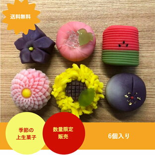 8月の上生菓子 6個入 練りきり 和菓子 上生菓子 生菓子 おうちスイーツ おうちカフェ お祝い 季節の花 お盆 帰省土産 お持たせ 手土産の画像