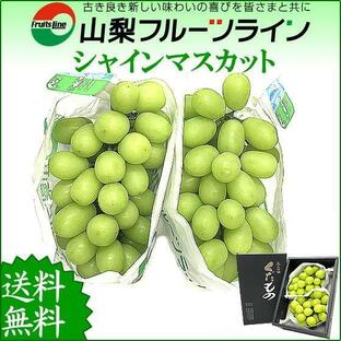 シャインマスカット 山梨県産 ぶどう 約1.2kg 秀 2〜3房入 贈答用 残暑御見舞い 敬老の日 ギフト お彼岸 御供 のし対応可 産地直送 送料無料一部地域を除くの画像