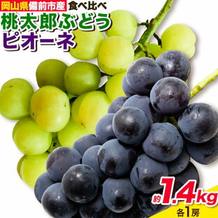 【ふるさと納税】【2024年発送】ぶどう 桃太郎ぶどう ピオーネ 約 1.4kg 各1房 岡山県備前市産 種なし フルーツパークびぜん 《8月上旬-9月下旬頃出荷》岡山県 備前市 葡萄 フルーツ 果物の画像