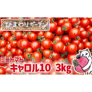 【EM栽培】ミニトマト キャロル10 約3kg ／ ひまわりガーデン 産地直送 農家直送 野菜 新鮮の画像