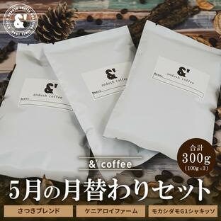 コーヒー豆 福袋 送料無料 珈琲豆 5月 月替わりセット 300g 約30杯分 焙煎後すぐ発送 コーヒー 豆の画像