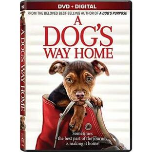 A Dog's Way Home DVD 輸入盤の画像